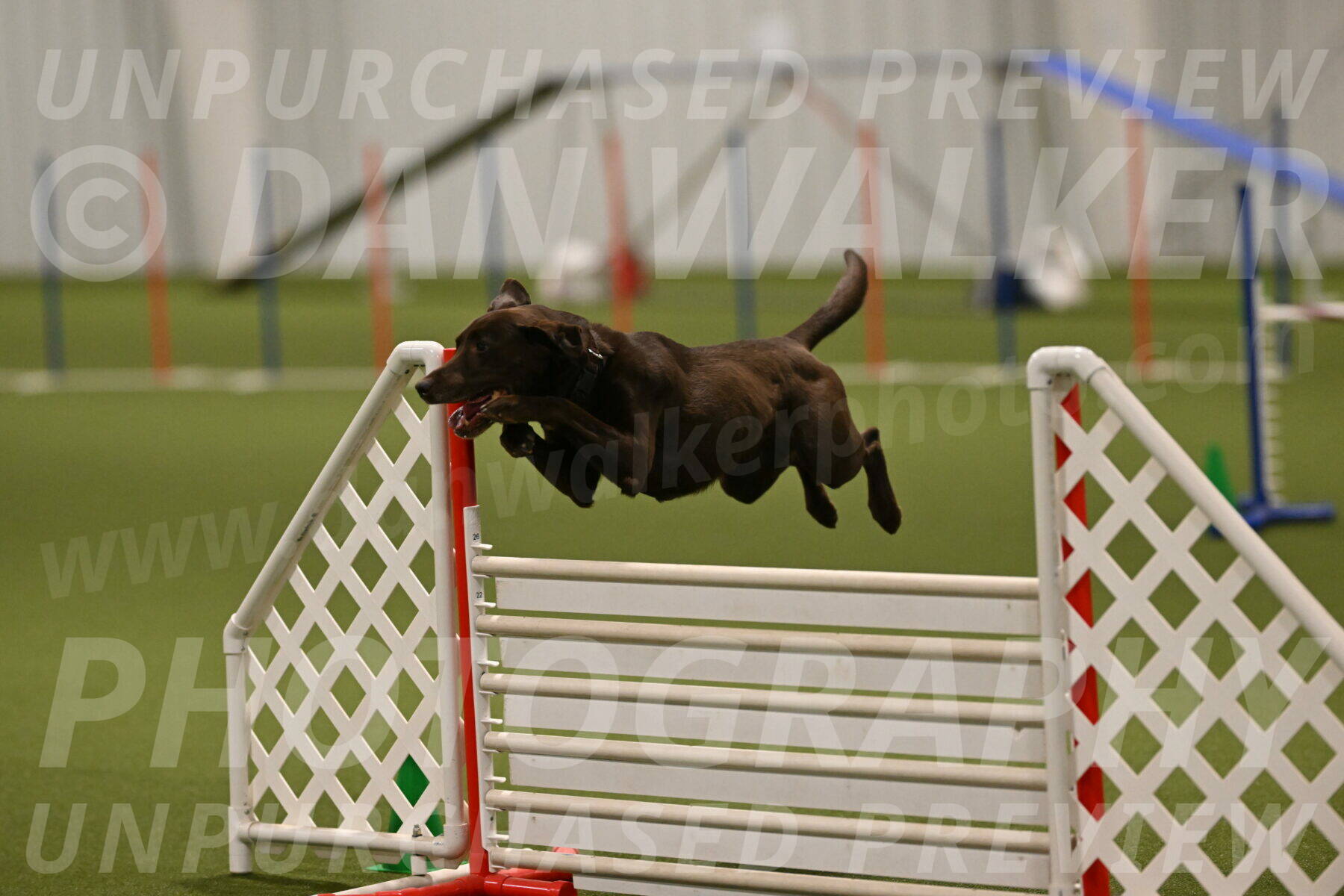 Doppler-Christie-Black-04840