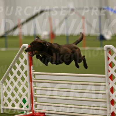 Doppler-Christie-Black-04840