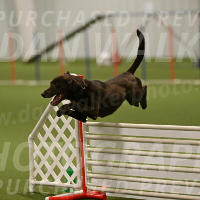 Doppler-Christie-Black-04841