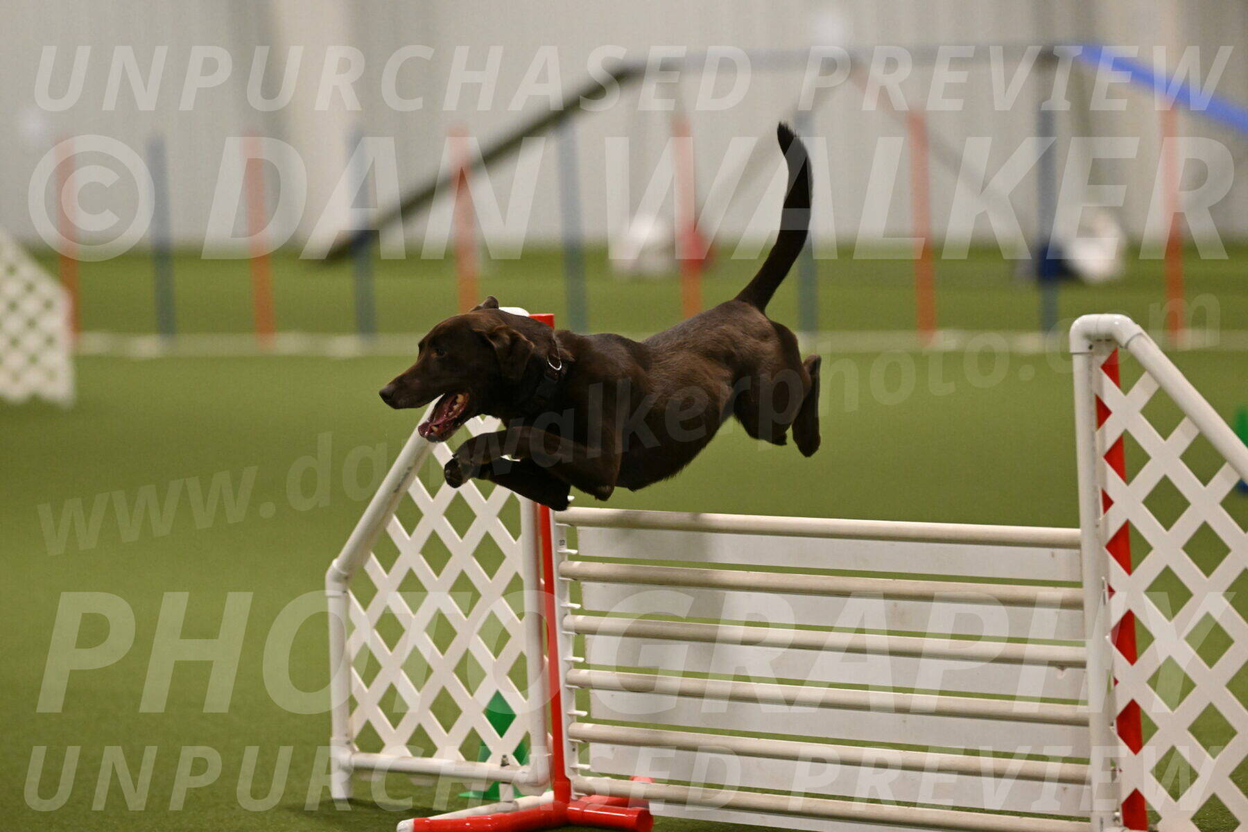 Doppler-Christie-Black-04841