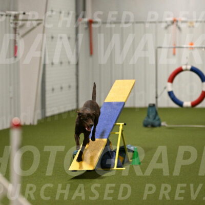 Doppler-Christie-Black-04842