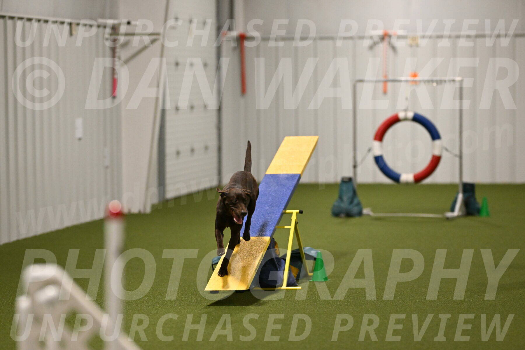 Doppler-Christie-Black-04842