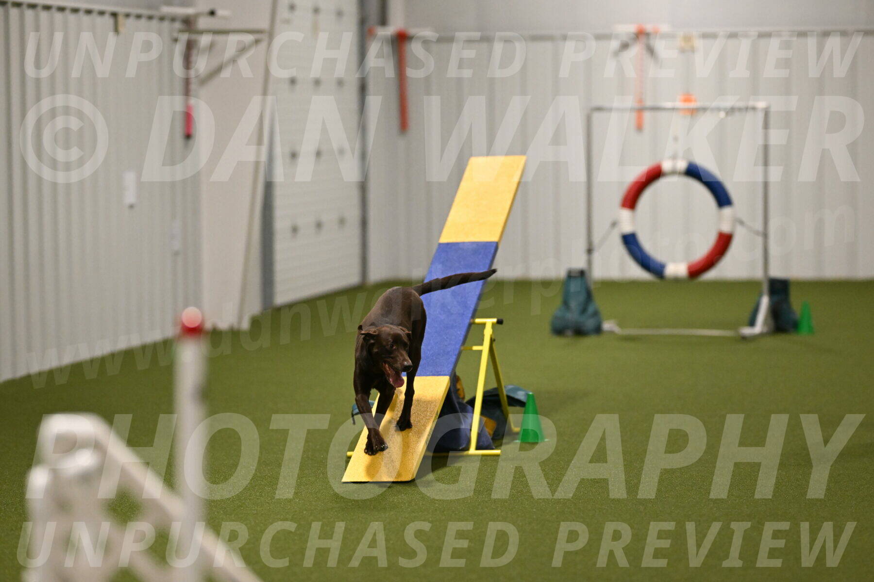 Doppler-Christie-Black-04843