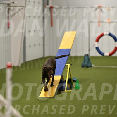 Doppler-Christie-Black-04843