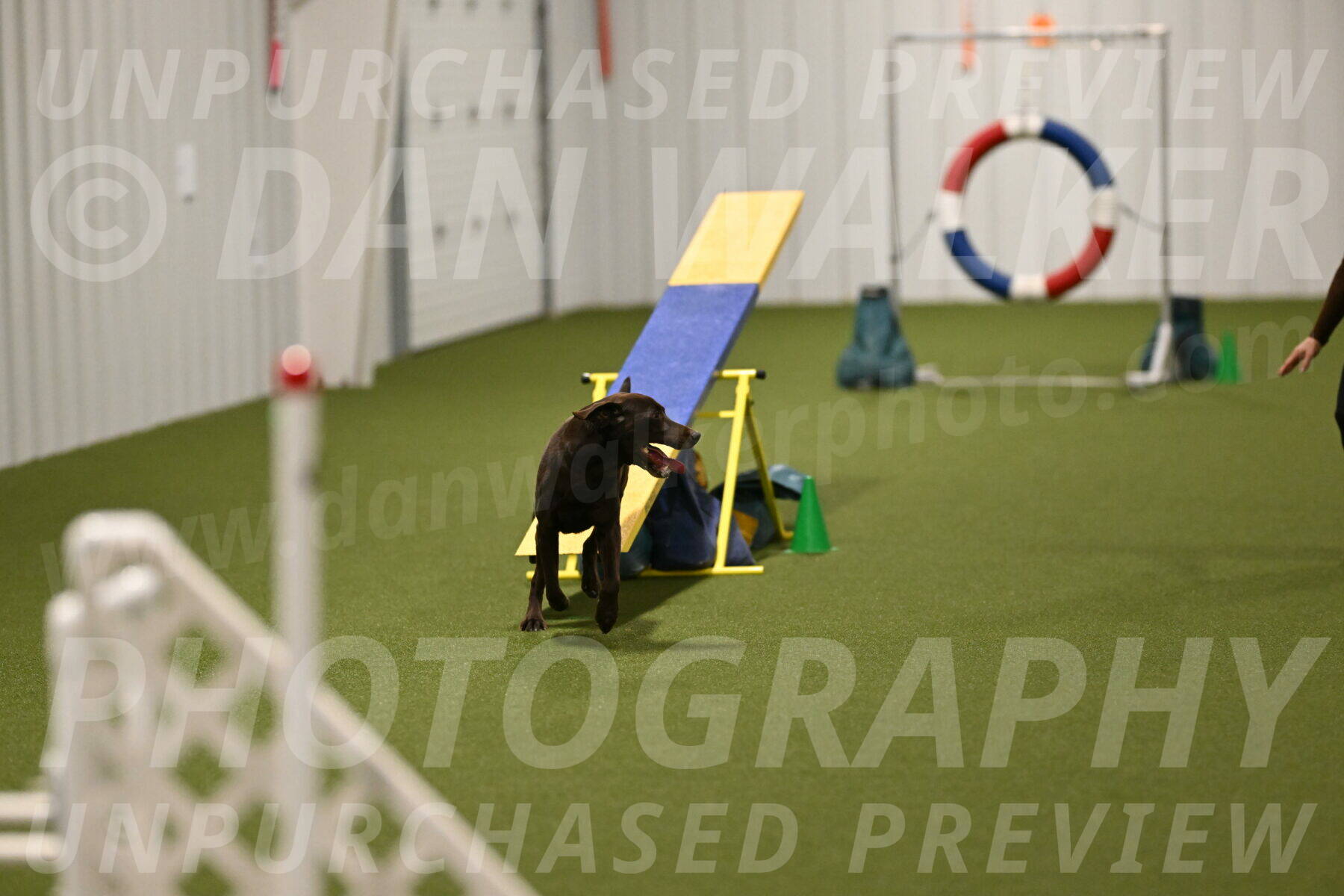 Doppler-Christie-Black-04844