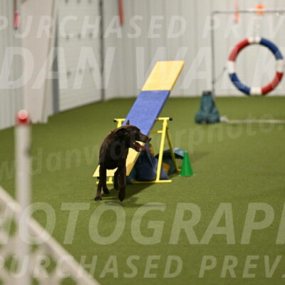 Doppler-Christie-Black-04844