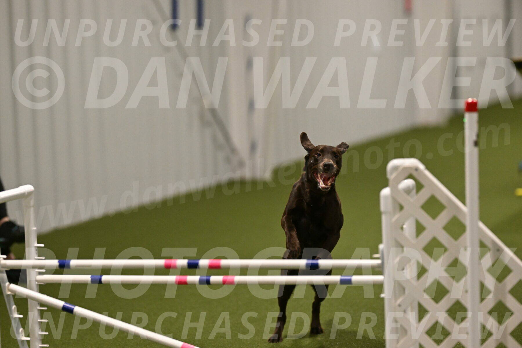 Doppler-Christie-Black-04845