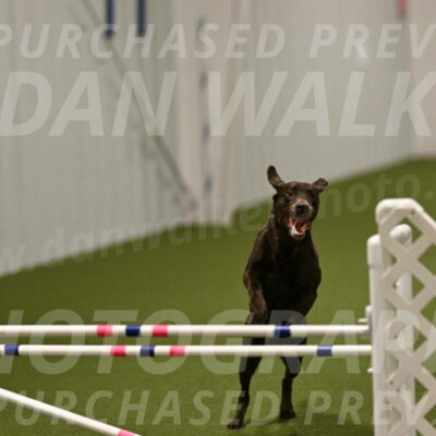 Doppler-Christie-Black-04845