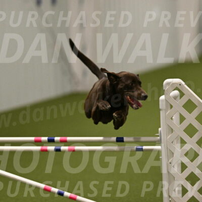 Doppler-Christie-Black-04846