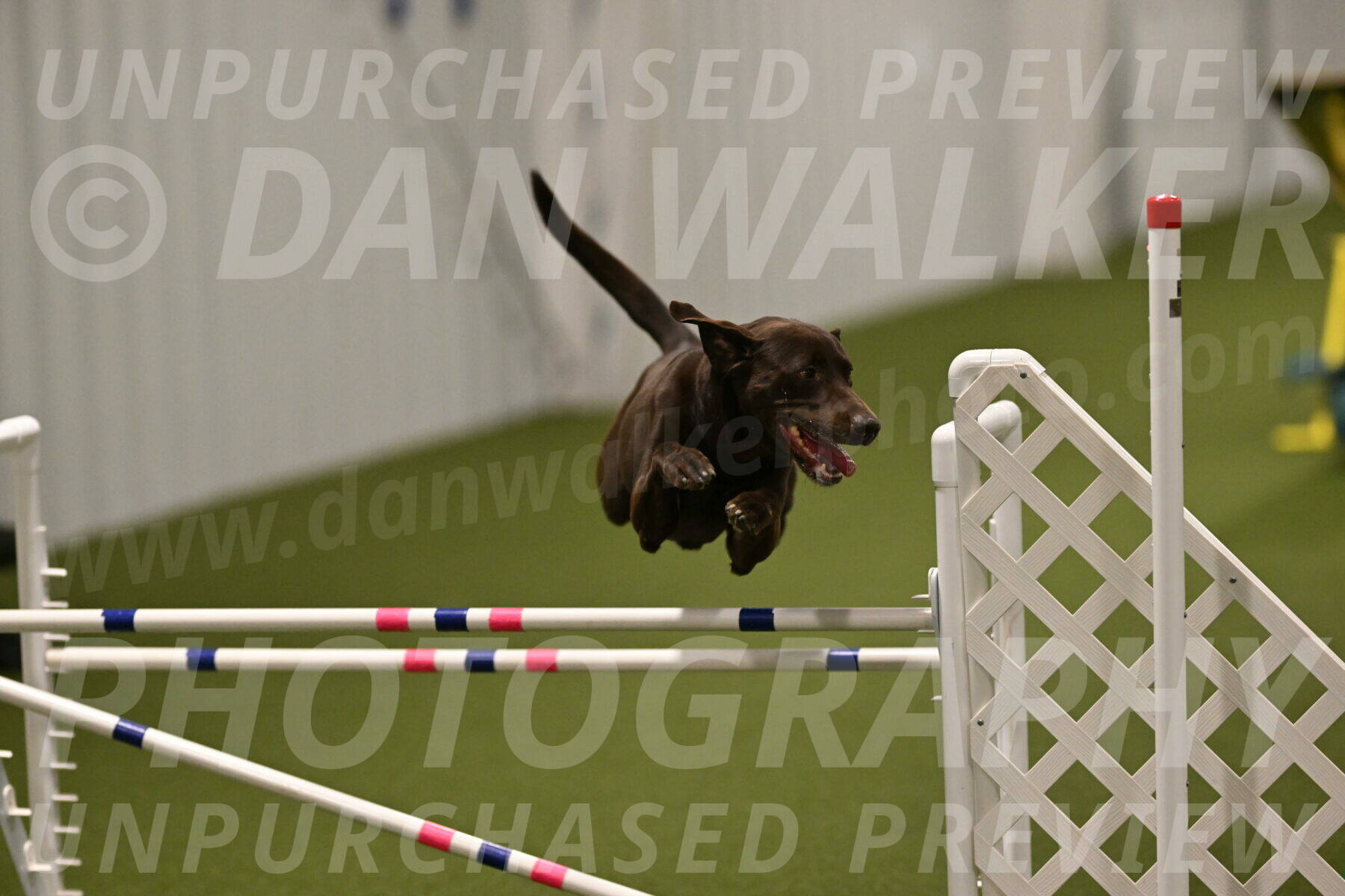 Doppler-Christie-Black-04846