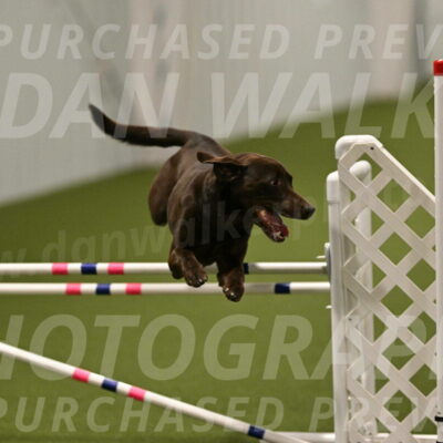 Doppler-Christie-Black-04847