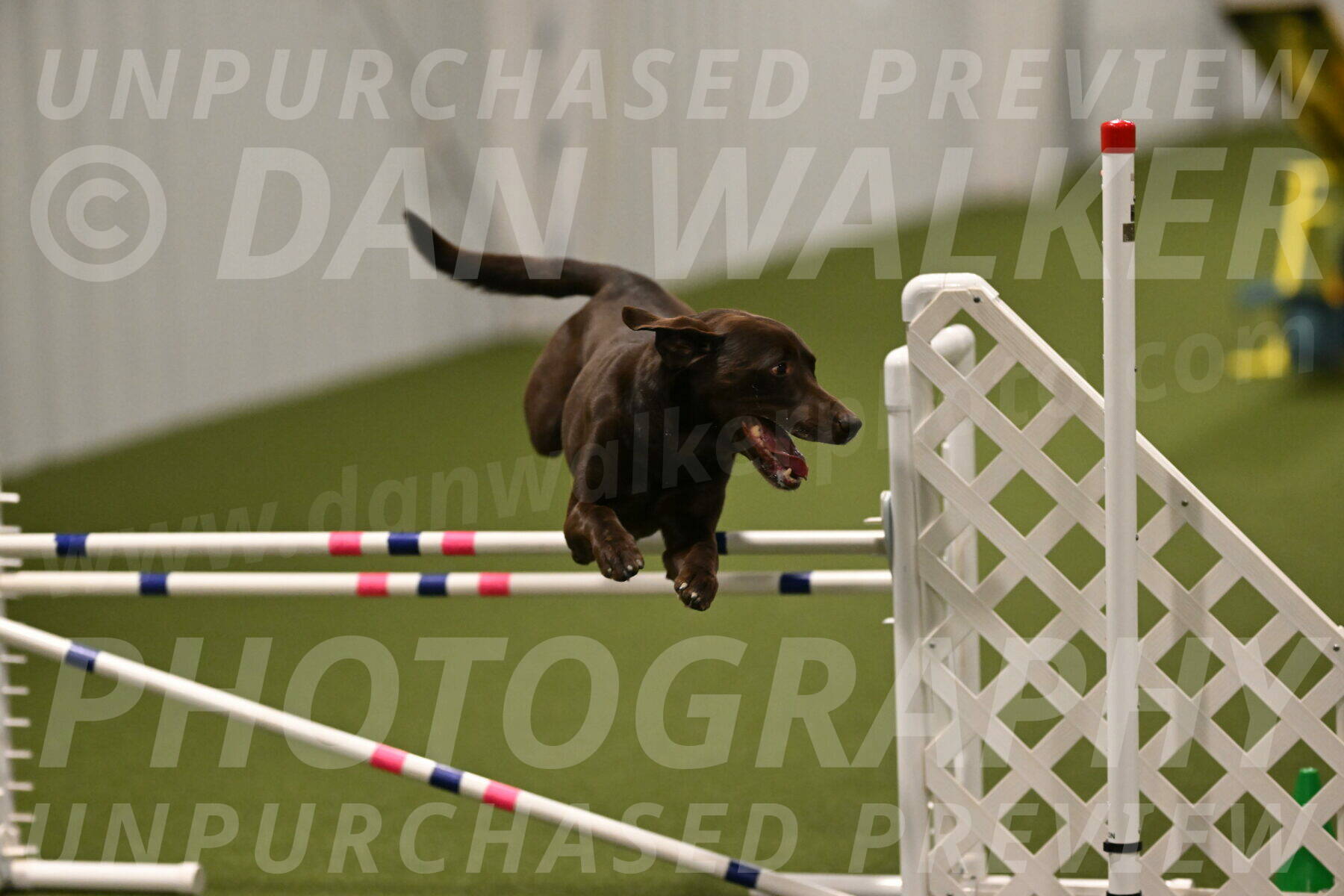 Doppler-Christie-Black-04847