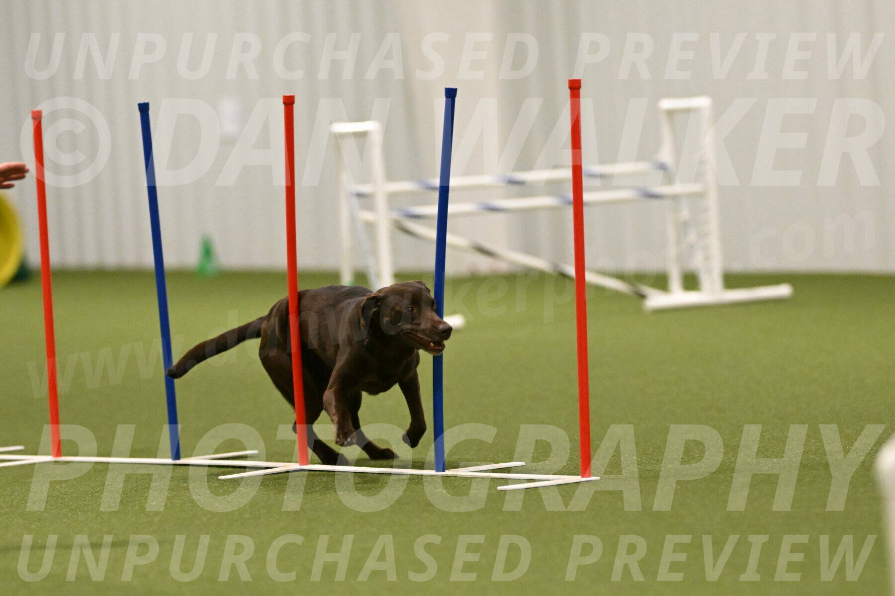 Doppler-Christie-Black-04848