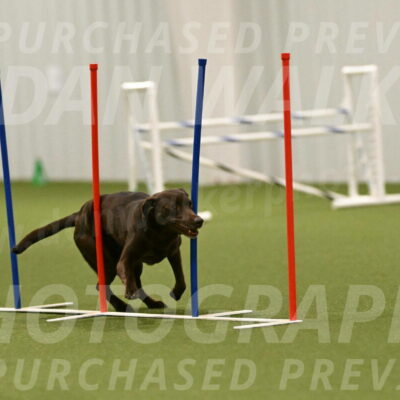 Doppler-Christie-Black-04848