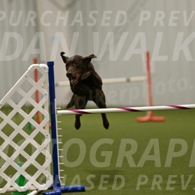 Doppler-Christie-Black-04849