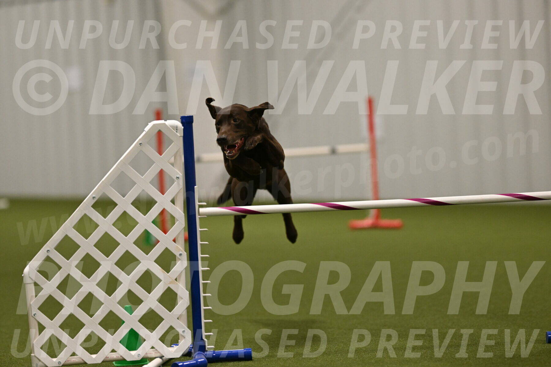 Doppler-Christie-Black-04849