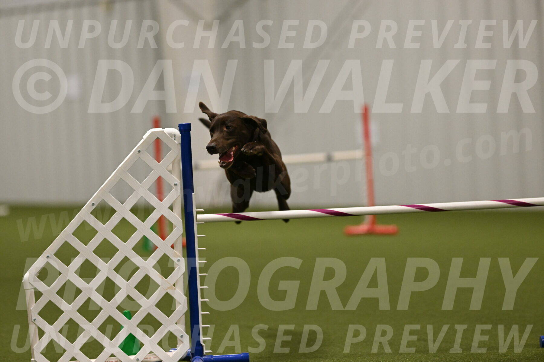 Doppler-Christie-Black-04850