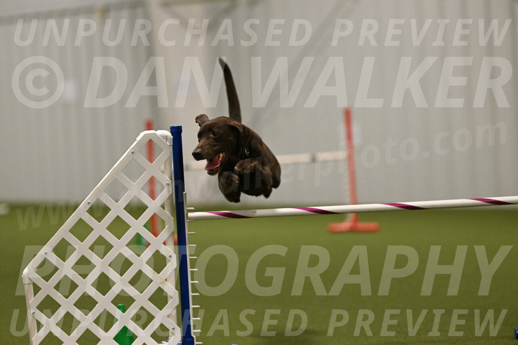 Doppler-Christie-Black-04851