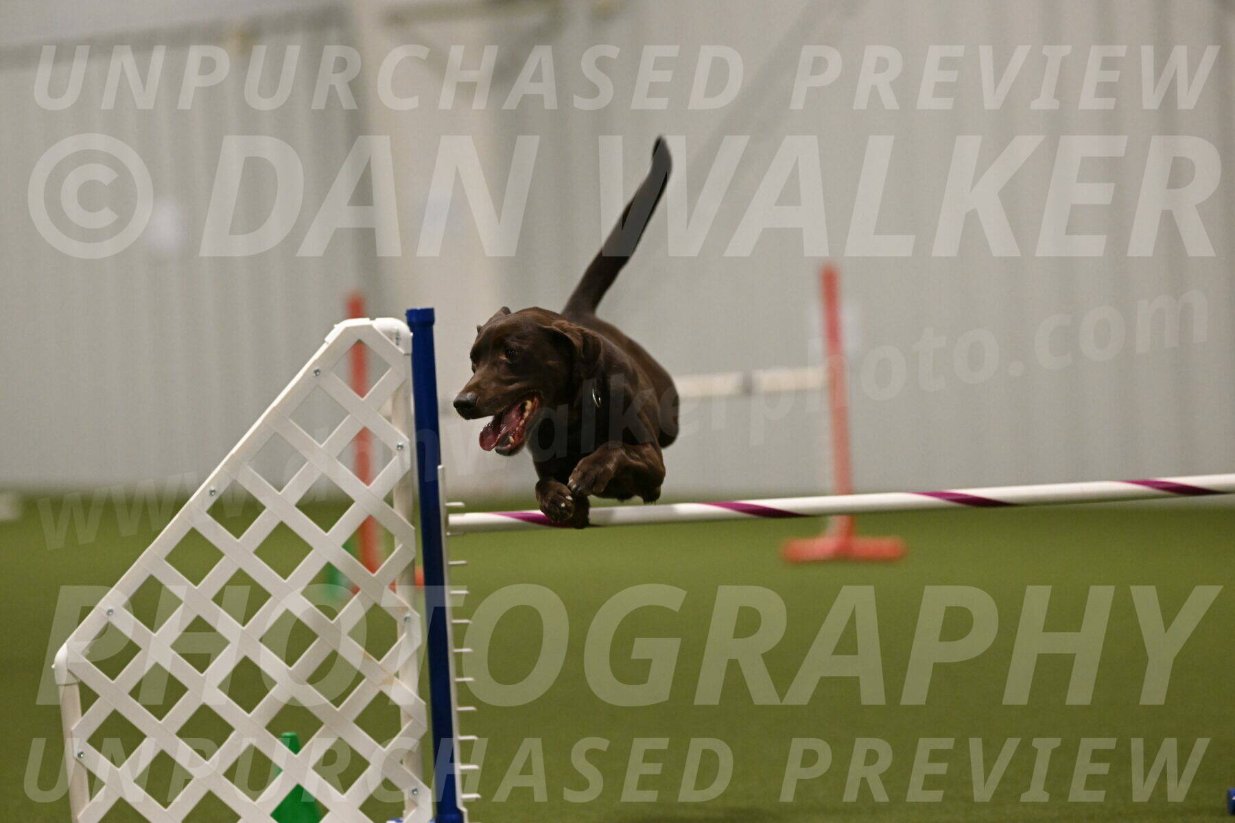 Doppler-Christie-Black-04852