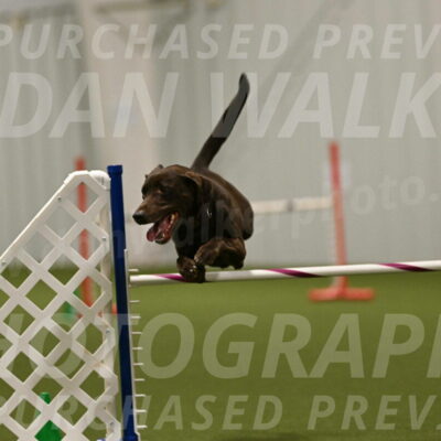 Doppler-Christie-Black-04852