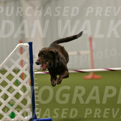 Doppler-Christie-Black-04853