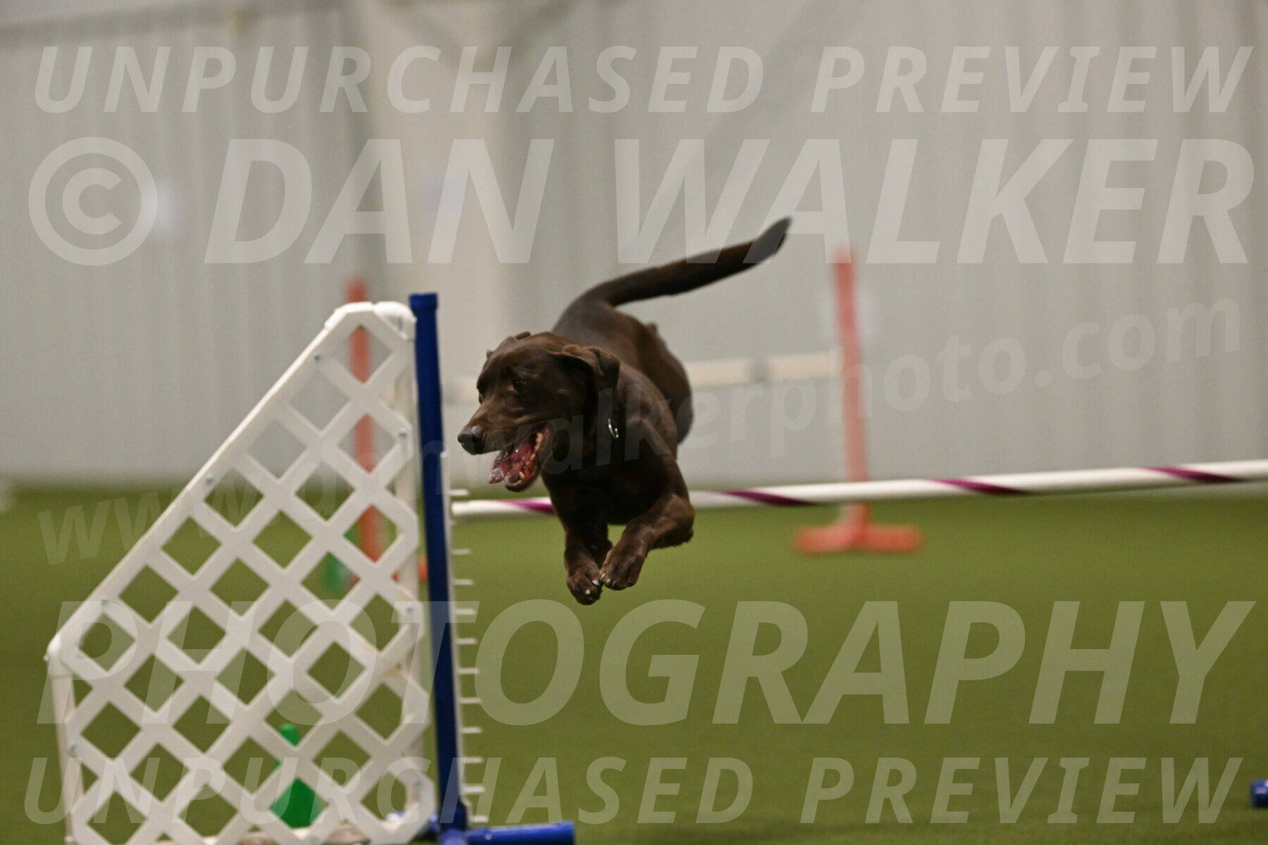 Doppler-Christie-Black-04853