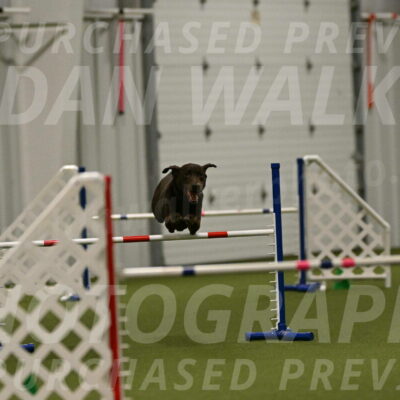 Doppler-Christie-Black-04854