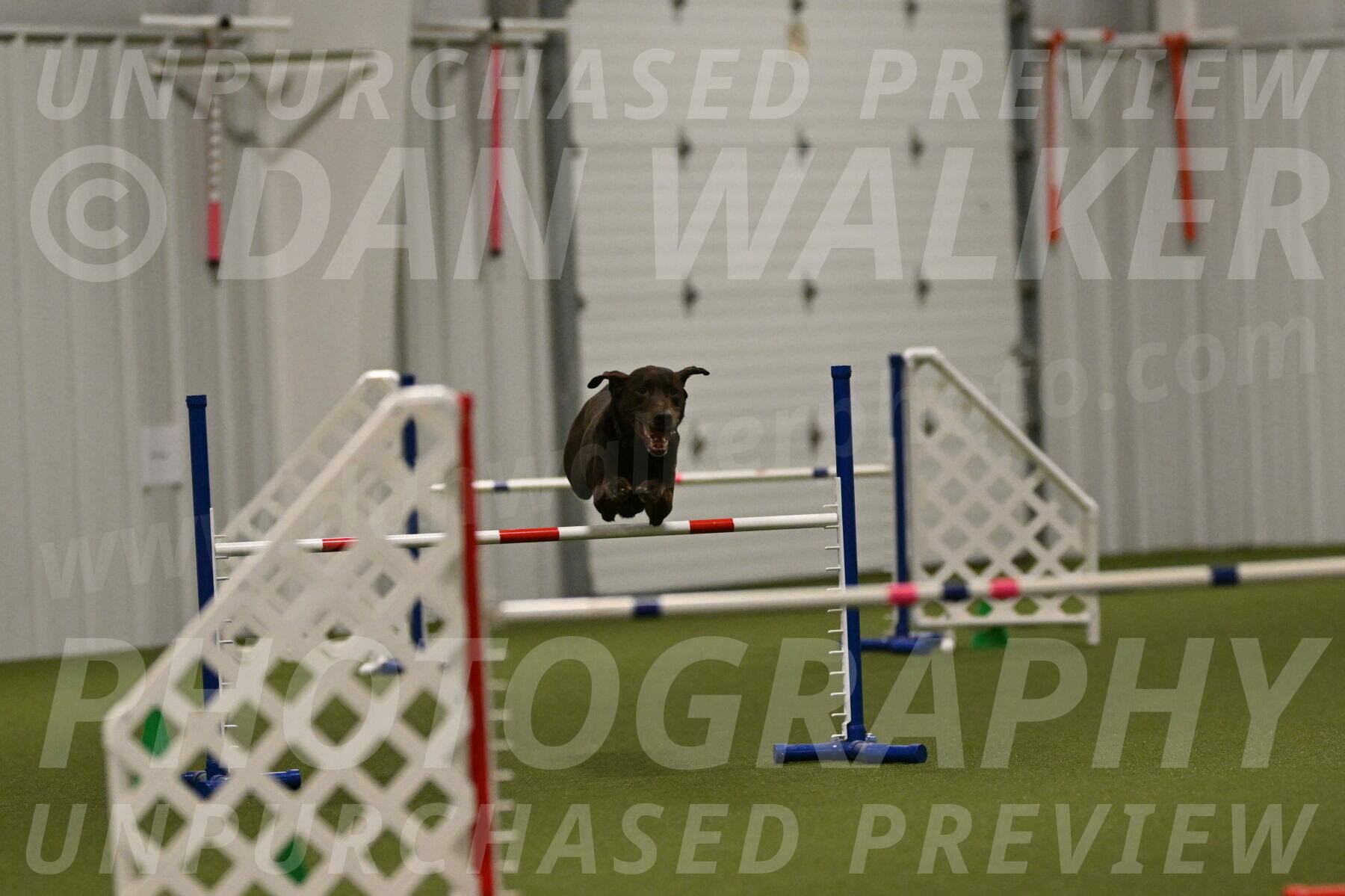 Doppler-Christie-Black-04854