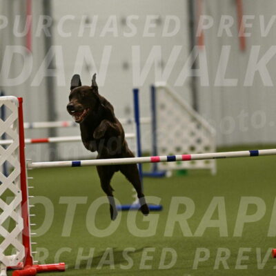 Doppler-Christie-Black-04855