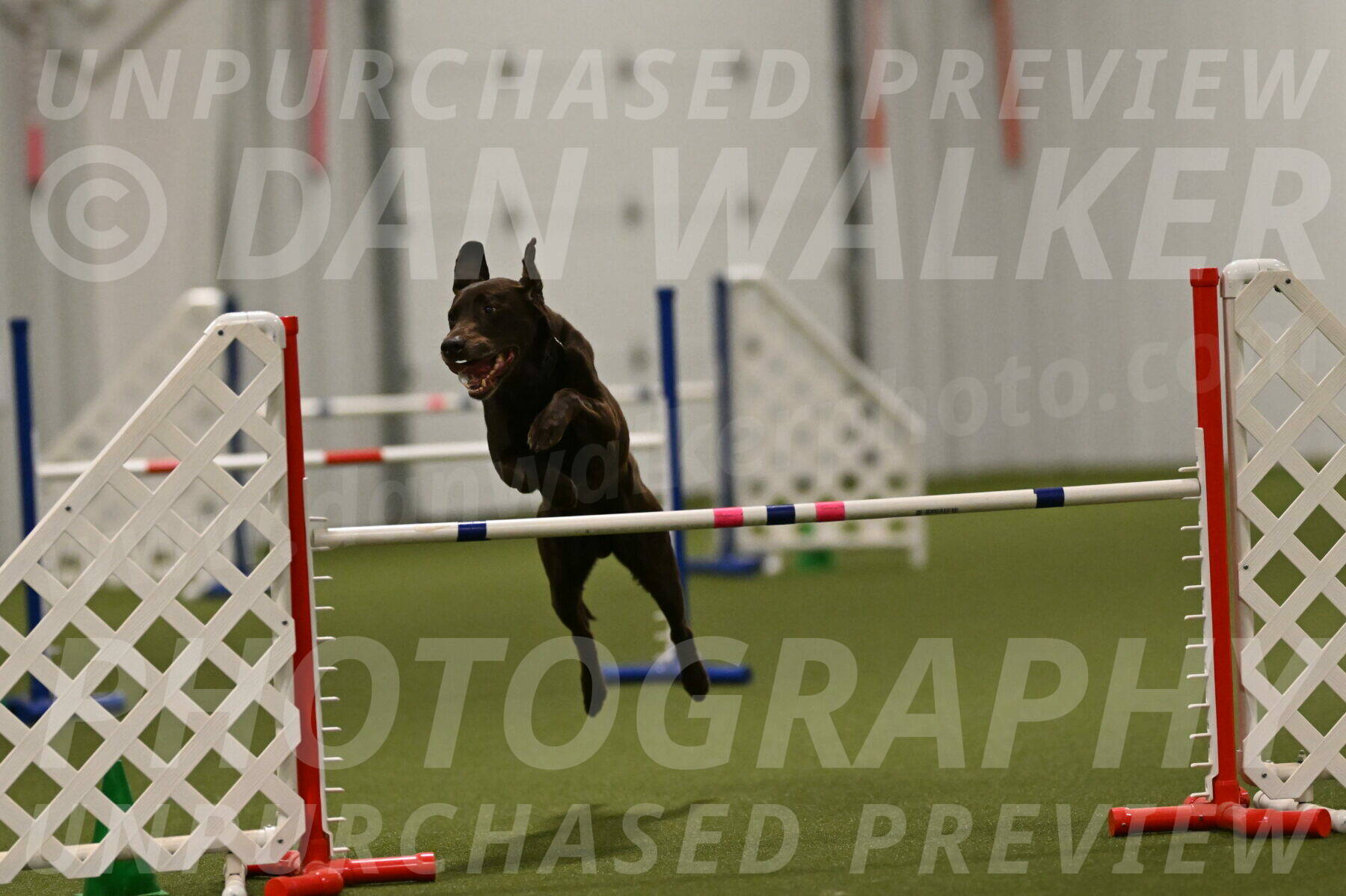 Doppler-Christie-Black-04855