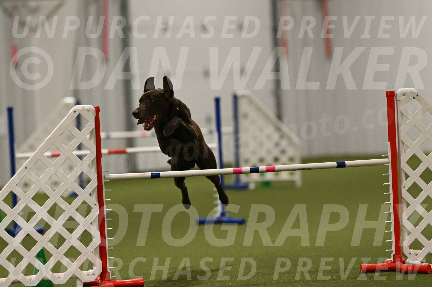 Doppler-Christie-Black-04856