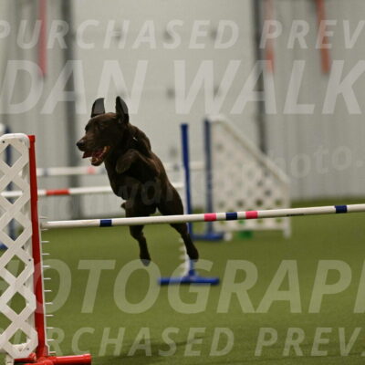 Doppler-Christie-Black-04856