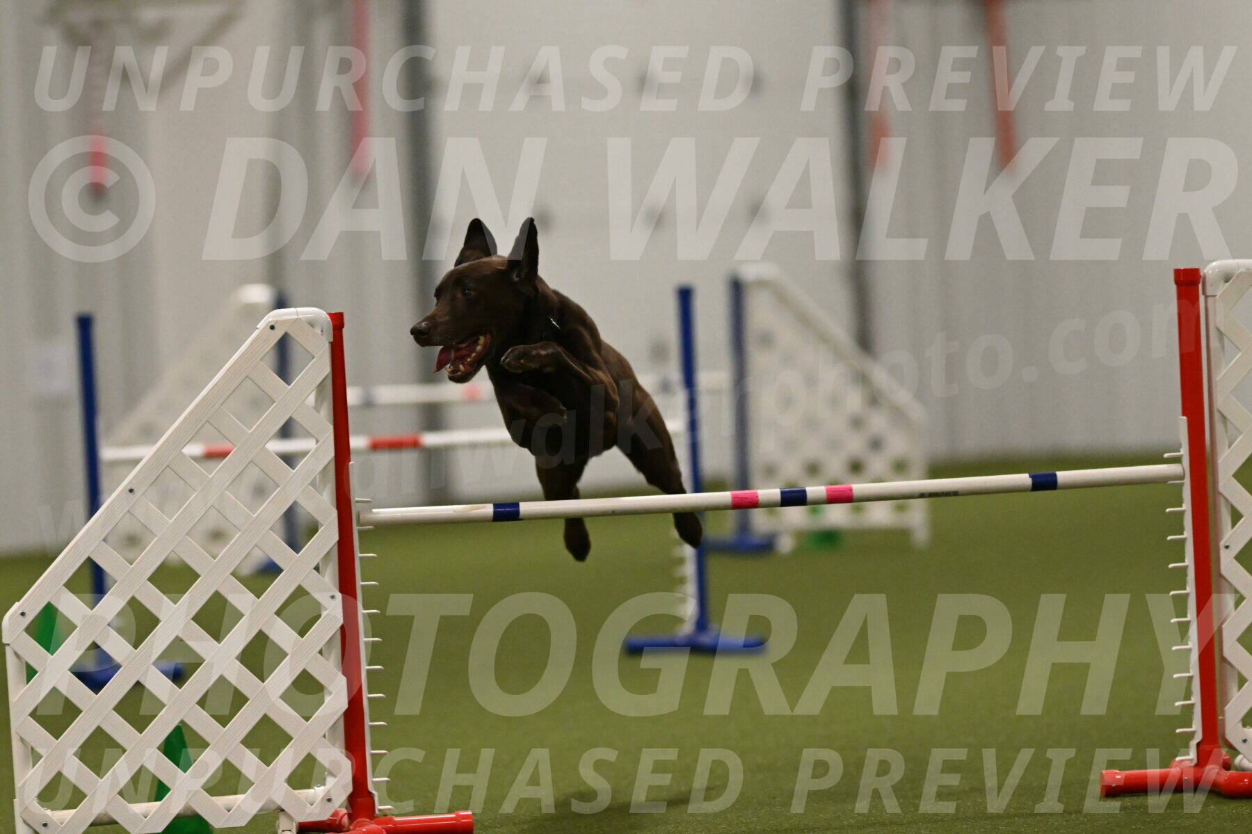 Doppler-Christie-Black-04857