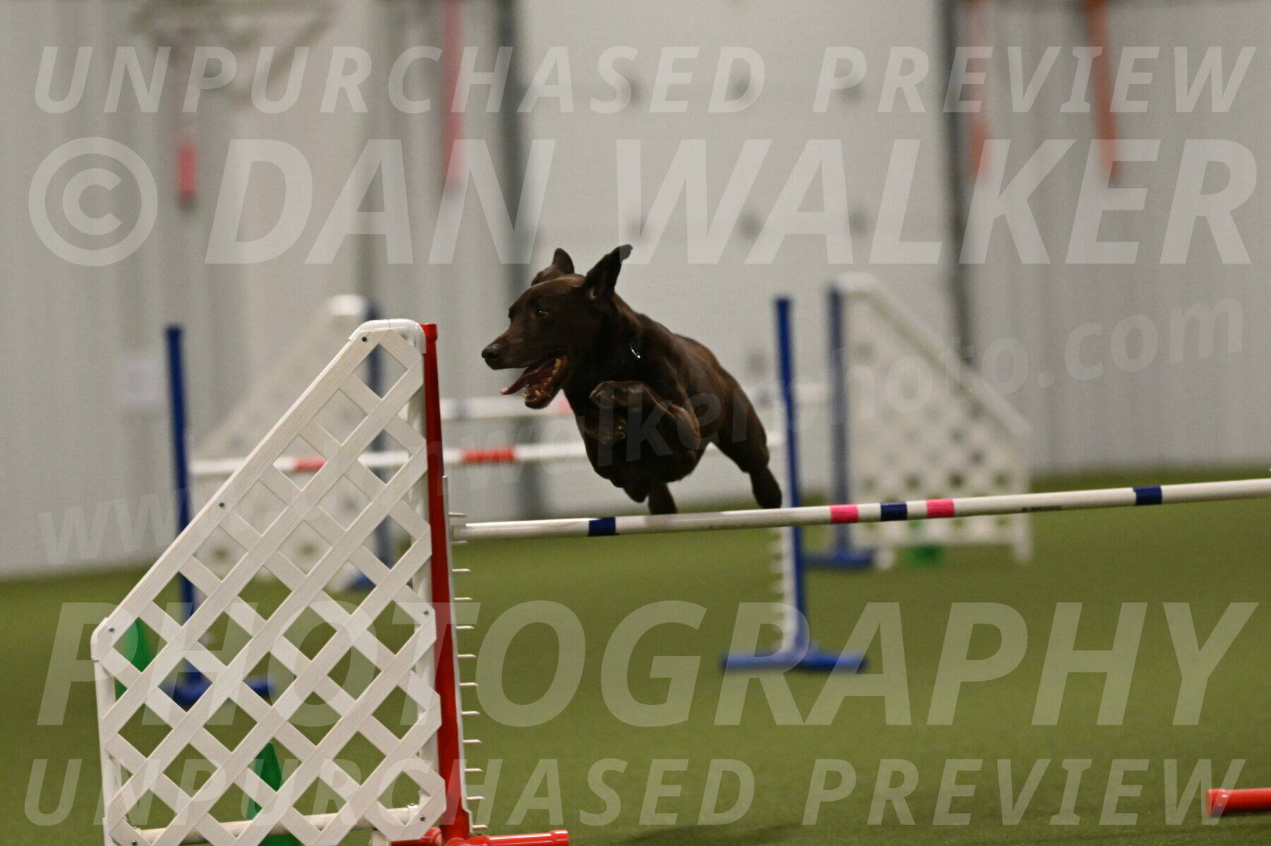 Doppler-Christie-Black-04858