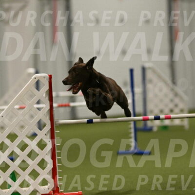 Doppler-Christie-Black-04858