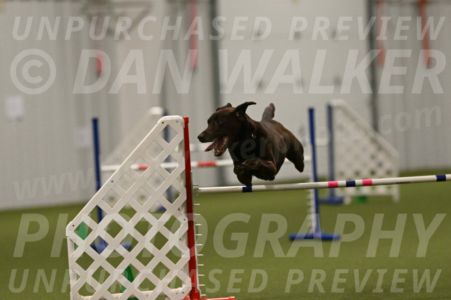 Doppler-Christie-Black-04859