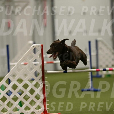 Doppler-Christie-Black-04859