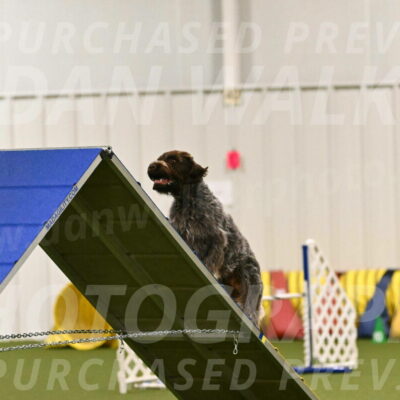 Drake-Janice-Lipscomb-04331