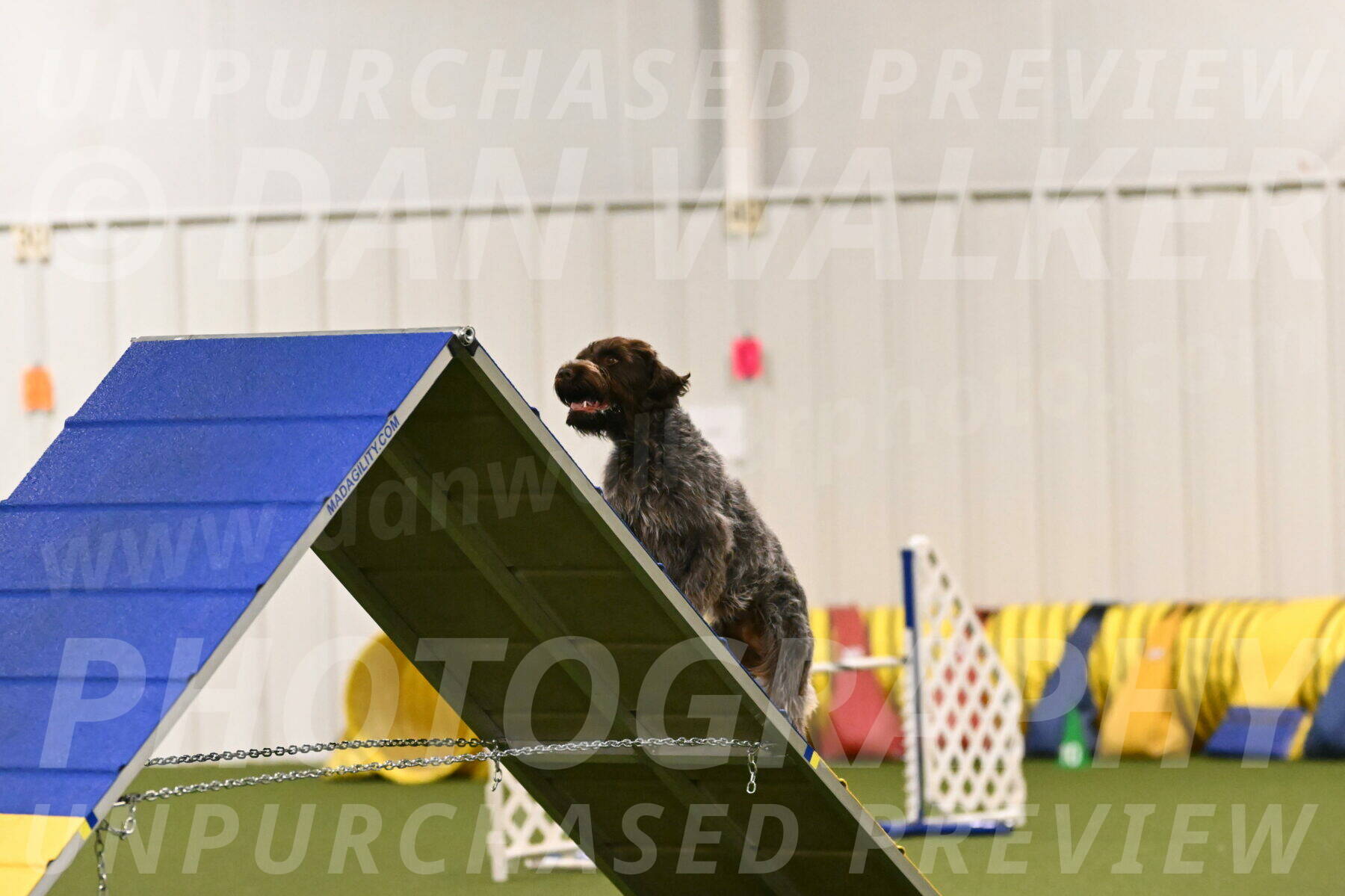 Drake-Janice-Lipscomb-04331