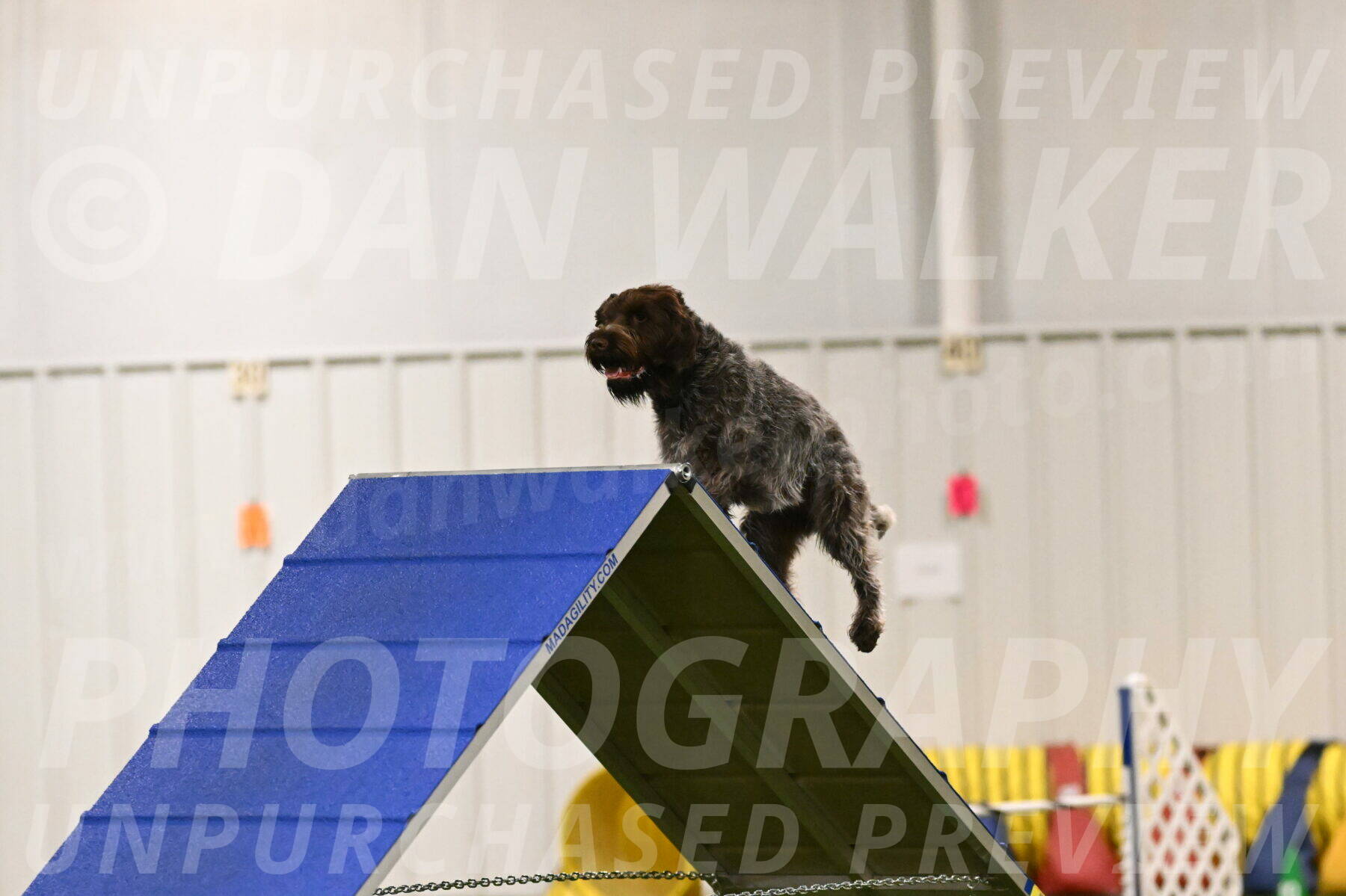 Drake-Janice-Lipscomb-04332