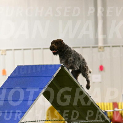 Drake-Janice-Lipscomb-04332