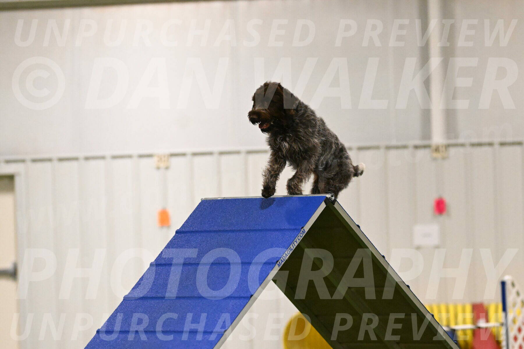 Drake-Janice-Lipscomb-04333