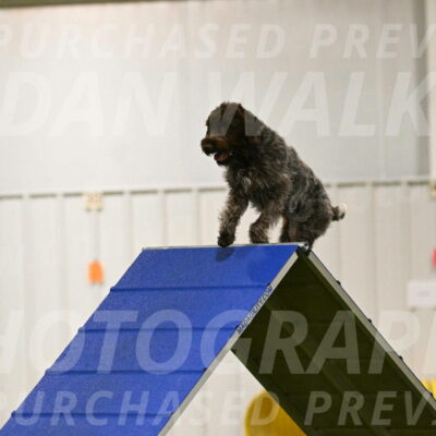 Drake-Janice-Lipscomb-04333