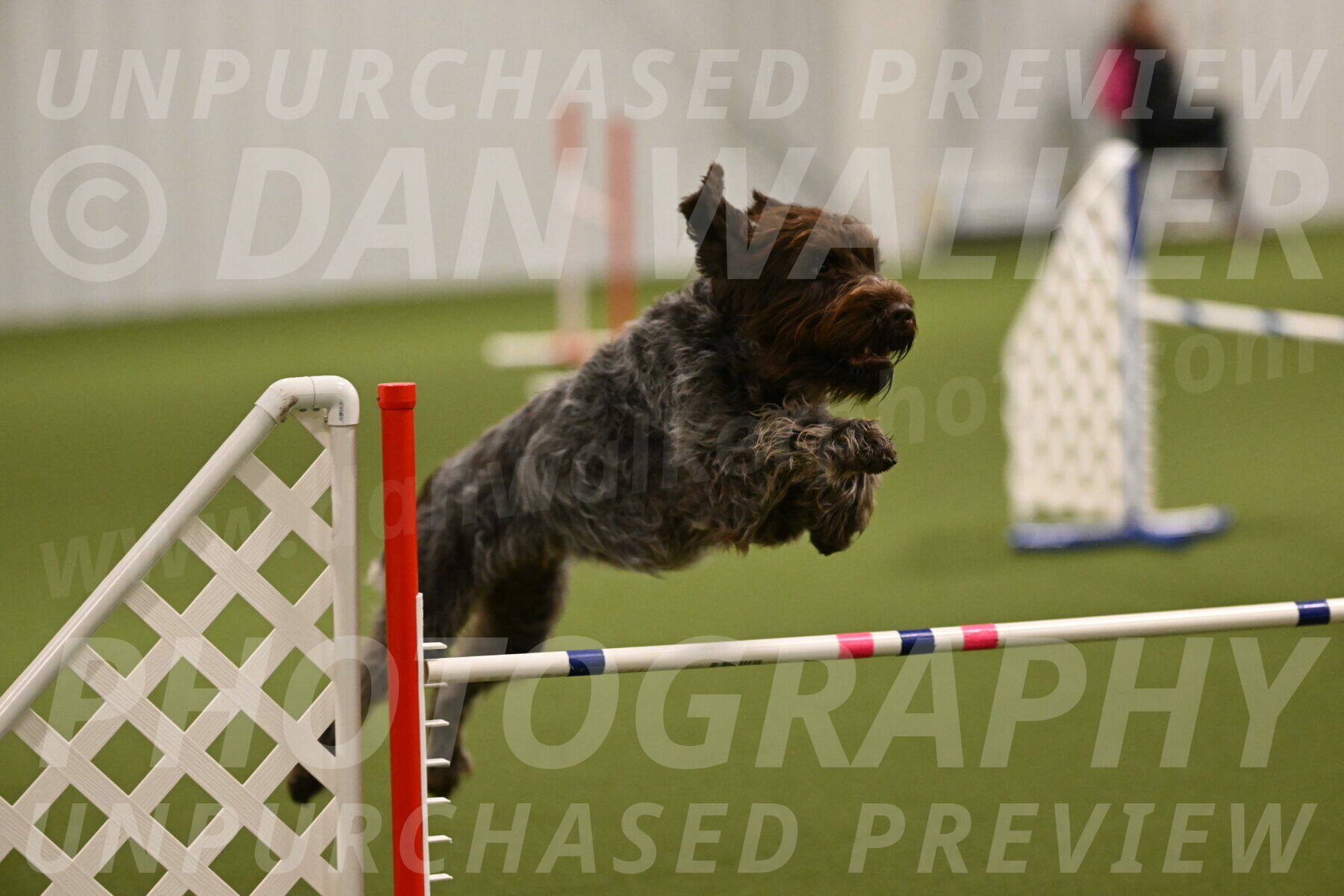 Drake-Janice-Lipscomb-04334