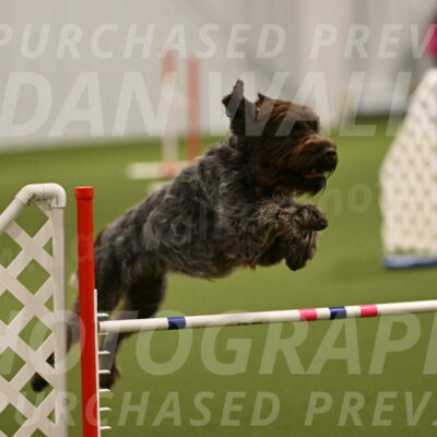 Drake-Janice-Lipscomb-04334