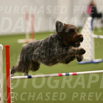 Drake-Janice-Lipscomb-04335