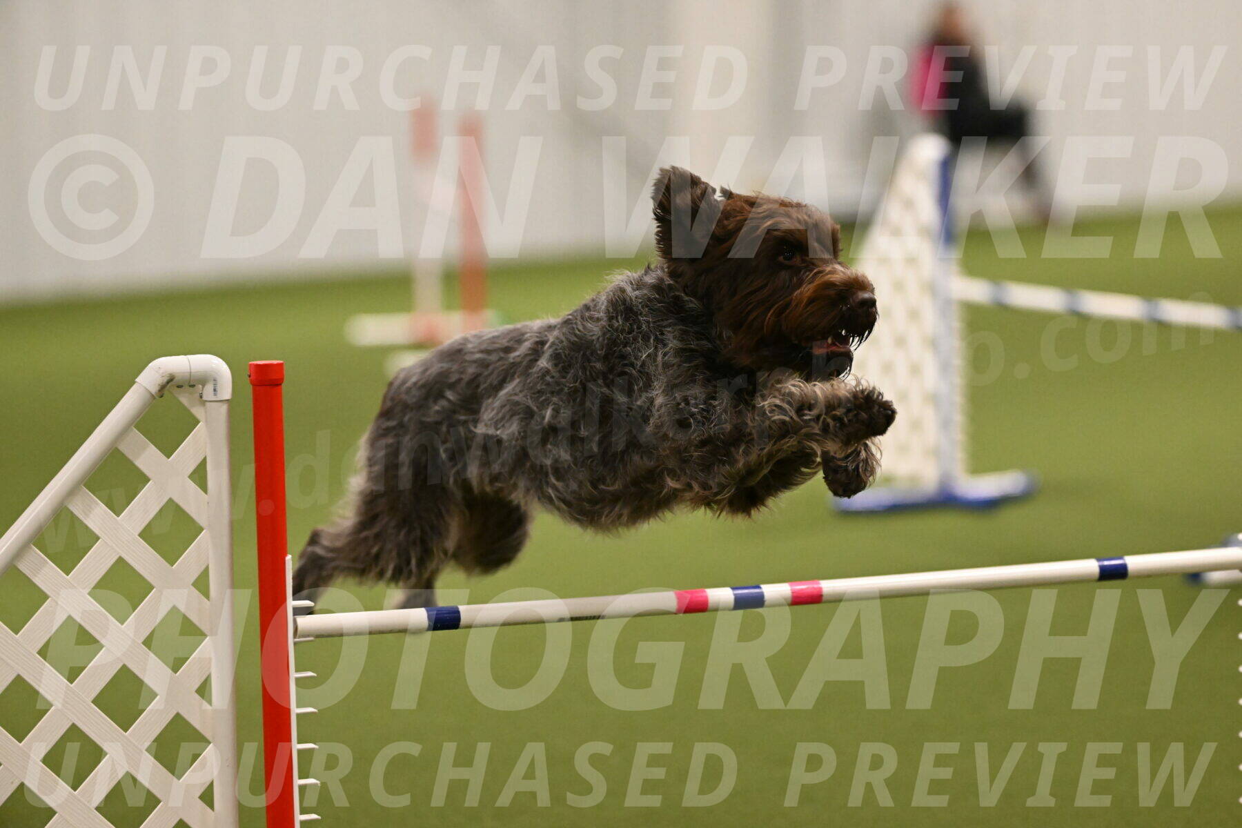 Drake-Janice-Lipscomb-04335