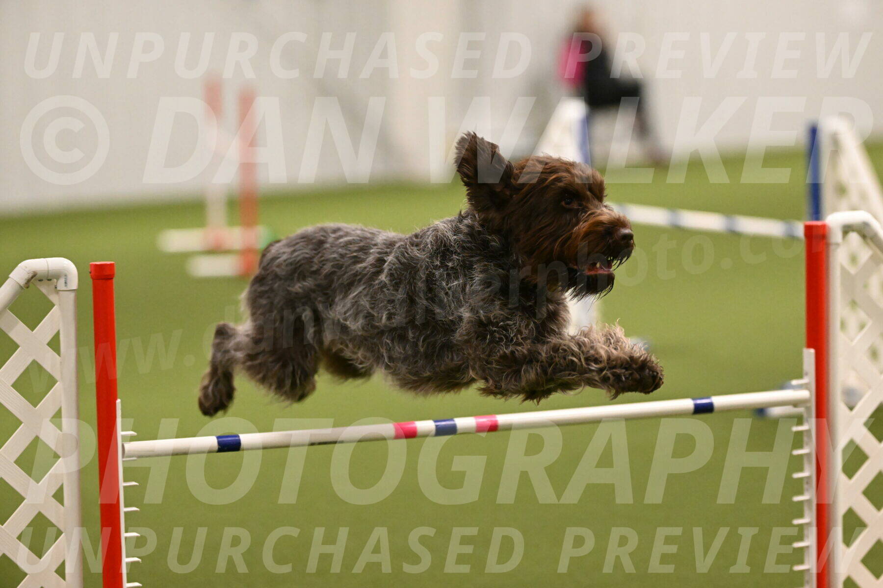 Drake-Janice-Lipscomb-04336