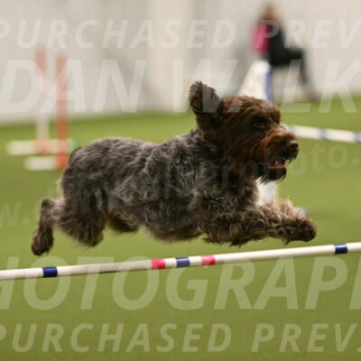 Drake-Janice-Lipscomb-04336