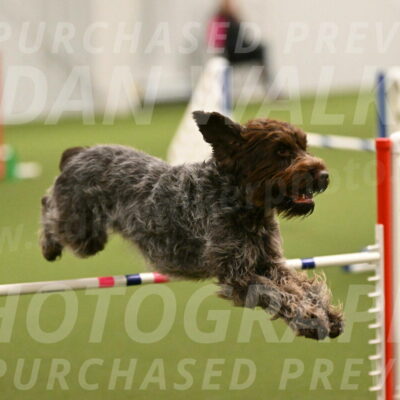 Drake-Janice-Lipscomb-04337